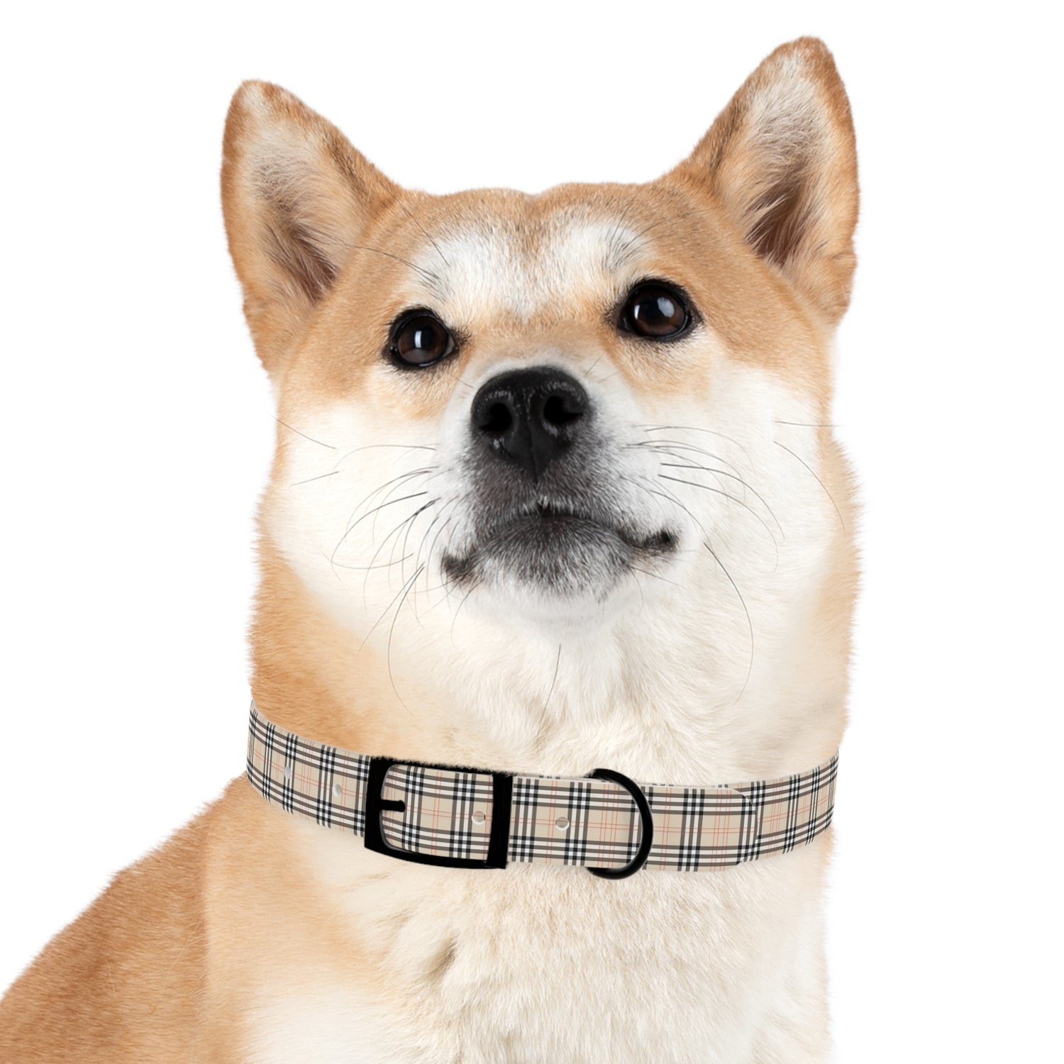 Tan Plaid Dog Collar Design 1
