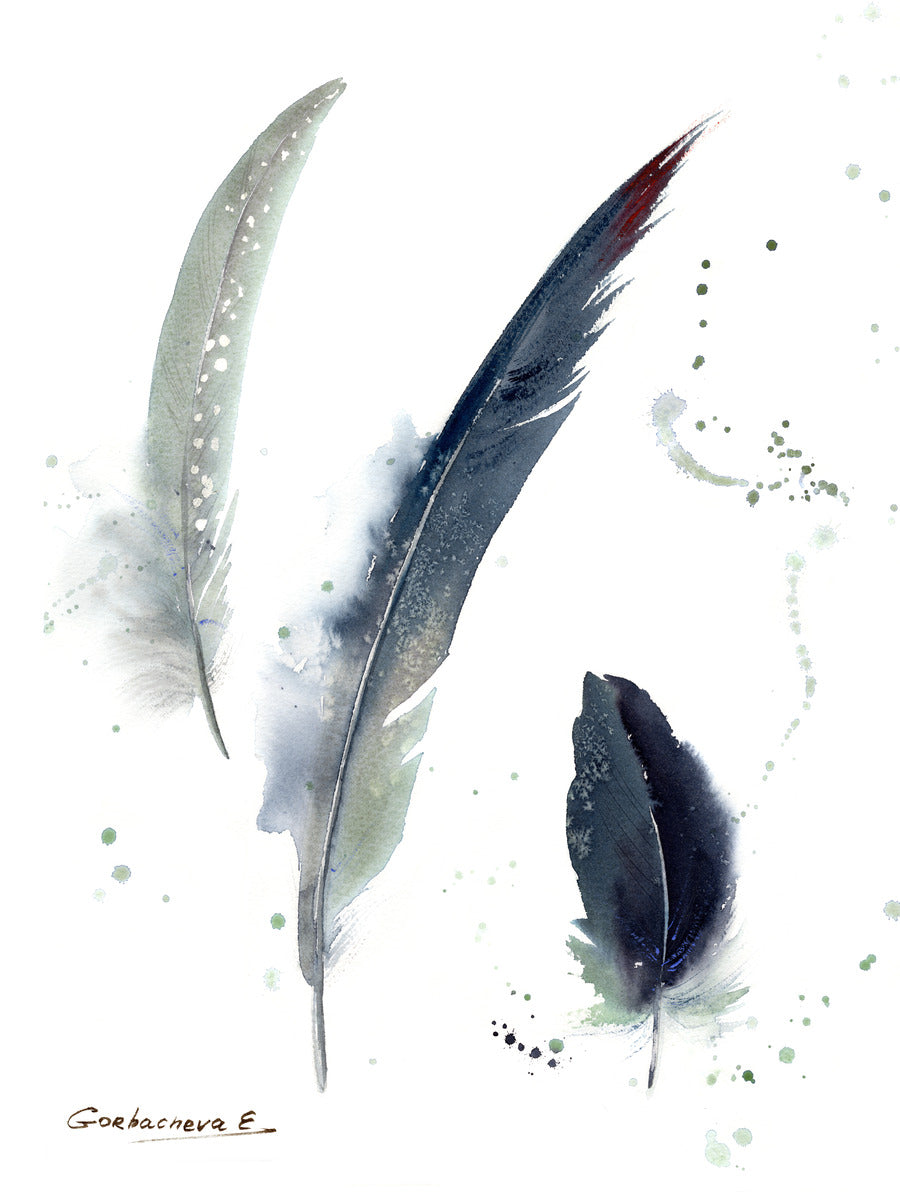 Gray Crowned-Crane feathers