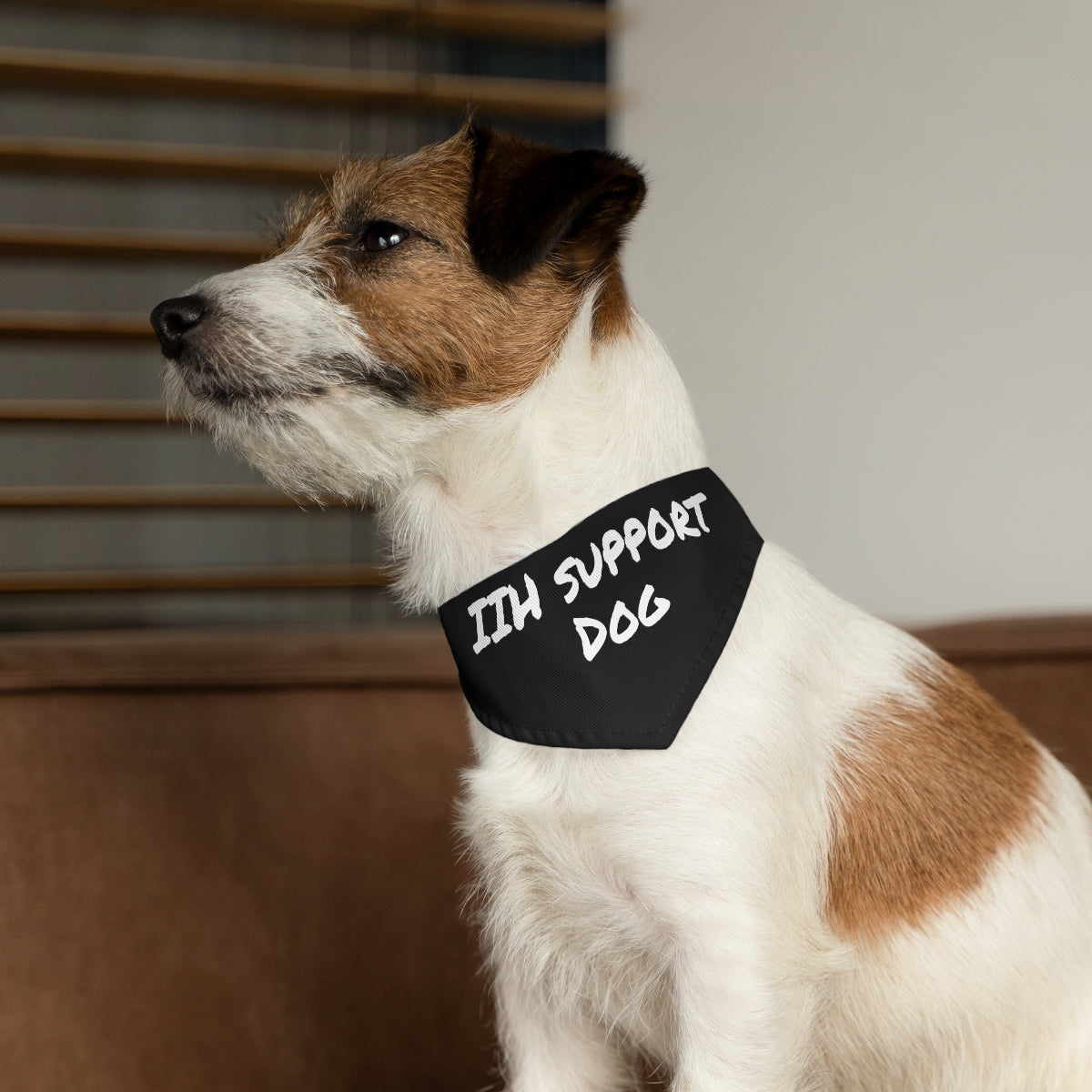 IIH Support Dog - Pet Bandana Collar