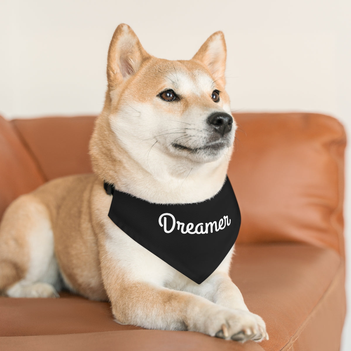 Dreamer. black and white- Pet Bandana Collar