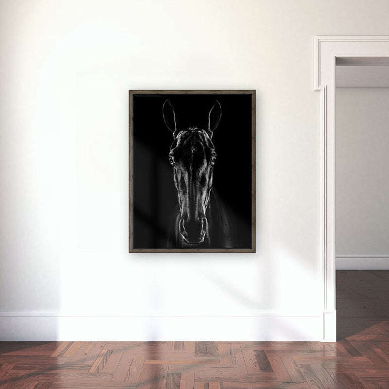 Le cheval en noir